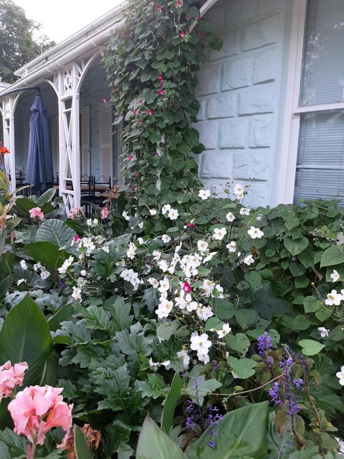 مبيت وإفطار أوتشورن Adley House المظهر الخارجي الصورة